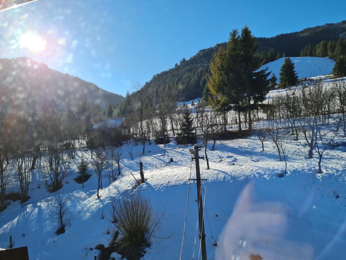 Penzion Mala Fatra U Durka Zilina Bagian luar foto